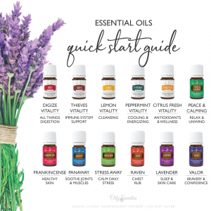 Quick-Start-Guide-PSK