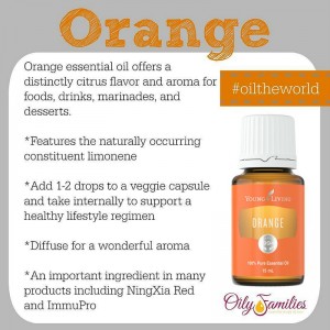 orange oil young living kindakrunchy.net