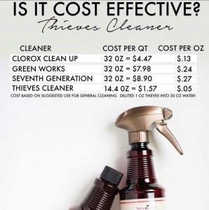 thieves-cleaner-cute-graphic